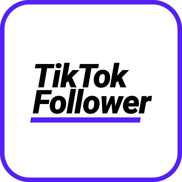 TikTok Follower kaufen